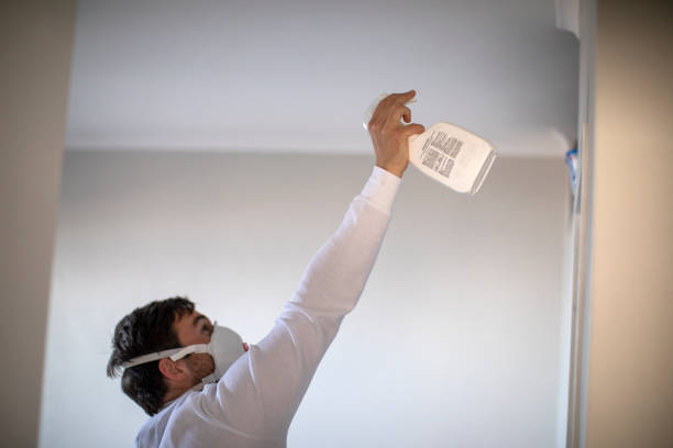 Best Fast Mold Removal  in Yeadon, PA